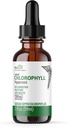 Nature's Fusions Nutri 액체 Chlorophyll Peppermint 100mg - 내부 탈취제 및 해독제 - 액체 드롭 - 2 fl oz (59 서빙, 서빙 당 100mg) - Clorofila Liquida