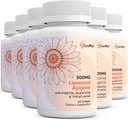 Liposomal apigenin 500mg Softgels - Fisetin, Quercetin 및 Theaflavins와 최적의 Apigenin 보충 - 12 개월 공급