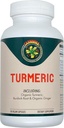 Carnivora Turmeric – 관절 및 소화 건강 지원 (90 Vegan 캡슐)