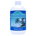 Eidon Electrolytes - 액체 Electrolyte 드롭, 이온 광물 보충 물에 추가, 보충 및 균형 전기 평형, Hydration Support, Unsweetened Sugar Free - 18 oz