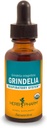 호흡 시스템 지원을위한 허브 Pharm Grindelia 액체 추출물 - 1 Ounce (DGRIND01)