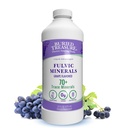 Buried Treasure Fulvic Minerals Grape flavored – Humic Fulvic Acid의 콜로이드 광물, 복구 및 웰빙 지원을위한 Trace Minerals의 전해질. 물에 추가 – 32 서빙