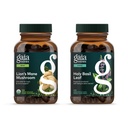 Gaia Herbs Lion’s Mane Mushroom - 신경 건강 유지 - 120 Vegan Liquid Phyto-Capsules & Holy Basil Leaf - 스트레스의 긍정적 인 마인드 및 균형 유지 - 120 Vegan Li