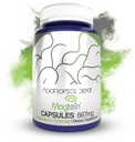 Nootropics Depot Magtein Magnesium L-Threonate 캡슐 | 90 개 | 미네랄 보충 | 자연 | 지원 Mitochondrial 기능 | Boosts Energy and Cognitive Function