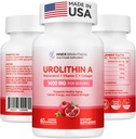 Urolithin 보충 1400 MG - 비 GMO, 글루텐 자유로운, 노화 방지, 세포 재생, 근육 힘, 내구시간 & 장수 지원, Liposomal Urolithin A, 60 조사