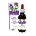 Naturalma Alfalfa 또는 Lucerne (Medicago Sativa) 허브 꽃 알코올 - 무료 Tincture - 자연 엽록소의 풍부한 - 드롭에 4 fl oz 액체 추출물 - 초본 보충 - Vegan
