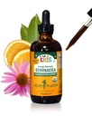 허브 Pharm Kids 인증 - 유기 알코올 - 무료 Echinacea 글리세 라이트 액체 추출물, 4 oz
