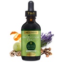 Go Nutrients Intestinal Edge – Wormwood, Black Walnut, Clove와 인간을위한 Gut Cleanse - 여성, 남성, 어린이 및 성인을위한 Detox 액체 - 소화 및 웰빙을위한 유기 초본 지원 - 2oz