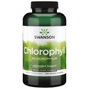 스완슨 Veg Chlorophyll 60MG 300 Veg CAPS