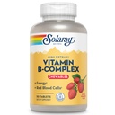 SOLARAY 비타민 B-Complex Chewables, 딸기, 건강한 에너지, 빨간 혈액 세포, 긴장 & 대사 지원, 50의 정제