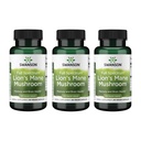 Swanson Lion's Mane Mushroom - 헤르메늄 Erinaceus (60 캡슐, 500mg 각) 3 팩에서 만든 전통적인 뇌 부스터 보충