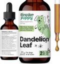개를위한 영원히 Puppy Dandelion 리프 드롭 - 큰, 중간 및 작은 개를위한 Kidney 건강 액체 보충 - Kidney Cleanse Detox Drops w/Dandelion Leaves Tincture - 2 oz
