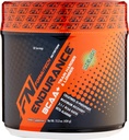 Endurance BCAA 플러스, Beta Alanine, 멜론, 434 그램을 가진 훈련 더 열심히 그리고 더 긴을 위해 디자인해