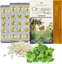 Oreganic Plus Mastic - Oregano Essential Oil Capsules & Chios Mastic Gum Oil - Wild Oregano Oil Capsules Organic - Immune Booster 및 Intestinal Support - Non-GMO - 30 카운트 블리스트