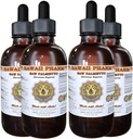 하와이 Pharm 톱 Palmetto (Serenoa Repens) 액체 추출 4x4 fl.oz