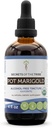 Tribe Pot Marigold USDA Organic의 비밀 | 알코올 프리 추출물, 고순도 허브 드롭 | 100 % 인증 유기농 냄비 Marigold (Calendula, Calendula Officinalis) 드리는 꽃 (4 oz)