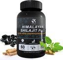 Shilajit Himalayan 보충교재 60% Fulvic 산, 순수한 자연적인 Shilajit, Ashwagandha, Ginseng 추출물을 가진 120의 Vegan 캡슐 공급 - 남자 에너지 지원을 위한 추적 무기에서 높은