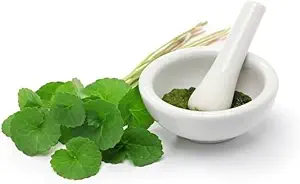 (2) 유기 Centella Asiatica 분말 (50g)