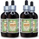 Carline 이틀 (Carlina acaulis) 글리세라이트, 말린 뿌리 알콜 자유로운 액체 추출물 (브랜드 이름: HerbalTerra, 미국에서 Proudly 만드는) 4x4 fl.oz (4x120 ml)