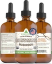 RawGuru Lion 's Mane Mushroom Tincture - Trace Minerals가있는 Vegan Lion 's Mane Extract - 나노 가공 면역 부스트 및인지 보충 - 120 ml 당 Vegan Drops의 120 서빙, 1 팩