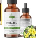 Mullein Tincture – Lung Support & Respiratory Wellness를 위한 유기 Mullein Drops – 미국에서 만든 – 2 Fl Oz