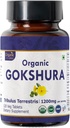 Gokshura 120 정제 | Tribulus Terrestris (Gokshura) | USDA 유기농 인증| 면역력과 강도 지원 | 유기농 및 천연 120tab