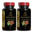 Candida 지원 보충교재 - 소화 원조 알약, Digestive 효소를 가진 건강한 Intestinal Flora & 면역 체계 지원 - 2개의 병 120의 캡슐