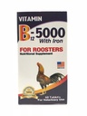 로스터 60 탭에 대한 철 B12-5000