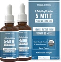 L 메틸 Folate 15mg 플러스 메틸 B12 Cofactor – 유기, 베리 맛, 직업적인 힘, 액체 잠수함, 활동적인 5-MTHF 모양 - 지원 계류, Homocysteine 메틸화, Cognition (1oz -2 팩)
