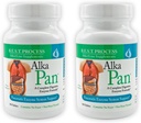 Alka•Pan (2 팩) 최고의 프로세스 알칼리성 - 자연 소화 보충 - Antioxidant-Rich Superfoods 및 소화 허브가있는 Pancreatic 효소