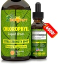 Chlorophyll 액체 하락 100% 유기 채식주의자 - 물 - 자연적인 내부 탈취기를 위한 민트 풍미를 가진 에너지와 면역 체계 승압기 보충교재 - 여분 힘 6000mg 120 서빙