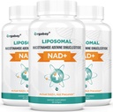 Orgabay Liposomal NAD + 보충 500 mg, 높은 흡수, TMG 250 mg, Nicotinamide Riboside, 지원 세포 에너지, 건강한 노후화 보다는 더 효과적인 실제적인 NAD를 가진 부스트 NAD+