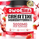 근육 지원 에너지 부스트 120 조사 Chewable 5g Creatine 보충교재 설탕 자유로운 Vegan (1 팩, Strawberry)를 위한 서빙 당 Creatine Monohydrate Gummies