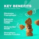 개를위한 Poo Chewables 없음 - 효소, 소화 건강을위한 개 Probiotics - Canine Digestive, Gut & Immune 건강 보충