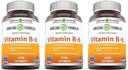 놀랄만한 수식 비타민 B6 Pyridoxine 25mg 250 정제 보충교재 | Non-GMO | 글루텐 프리 | 미국제(3 팩)