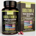 Urban Working Women을위한 Urolithin 보충 : Trans-Resveratrol 및 CoQ10과 노화 방지 캡슐 - 미국 실험실 검증 지원 건강한 노화 및 세포 재생 (9in1)