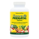 Natures Plus Source of Life Prenatal - 800 mcg Folate, 90 채식 정제 - 철 및 칼슘이있는 모든 자연 예비 비타민 및 미네랄 - 최적의 건강 및 에너지 - 글루텐 - 무료 - 45 서빙