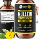 HERBIFY Mullein 추출물 호흡 건강, Mullein 잎 및 꽃 혼합 (Verbascum Densiflorum)을 위한 2개 oz Tincture
