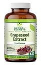 초본 비밀 Grapeseed 추출물 400 mg 120 Veggie 캡슐 보충교재 - 비 GMO - 글루텐 자유로운