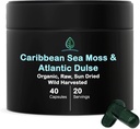 Holistic Bin Organic Sea Moss 캡슐 100 % 순수한 카리브 해 Moss + Dulse Seaweed | 야생 수확 | No Fillers | Antioxidants, Minerals 및 Iodine (40 캡슐)의 풍부한