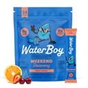 Waterboy 주말 복구 | 3,200mg 전해질 분말 패킷 | 생강 + L-Theanine + 비타민 | 설탕 없음, 모든 자연, 글루텐 무료 | 24 음료 스틱 믹스 (Fruit Punch)