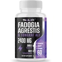 2400mg Fadogia Agrestis Tongkat Ali 보충교재 - Fadogia Agrestis 1400mg & Tongkat Ali 1000mg 매우 혼합, 최대 힘, 근육 질량 & 운동 성과, 60 Softgels
