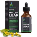 호흡 건강을위한 유기 Mullein Tincture Drops - 천연 폐 지원, 알코올 - 무료, Vegan, Non-GMO, 초본 추출물, 2 fl oz (60ml) 천연 수면 보조 및 면역 지원