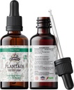 Plantain Tincture, 유기 플래튼 추출물 (Plantago Major)는 잎 건강 보충교재, 찬 압박된 유기 식물성 글리세린 2개 oz, 670 mg에 있는 비 GMO를 말렸습니다