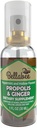 BellaBee Propolis 추출물 규정식 보충교재 (Ginger)