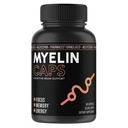 Myelin 모자, 뇌 건강 보충교재, 초점 보충교재 & 알파 크기, 기억 및 Cognitive 기능 지원, 글루텐 자유로운, 비 GMO (90의 캡슐)를 가진 뇌 건강