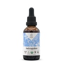 Astragalus USDA 유기 알코올 무료 추출물 | 규정식 보충교재, 높은 순수성 Tincture | 자연적인 증명된 유기 Astragalus (Astragalus membranaceus) 말린 뿌리 (2개 oz)