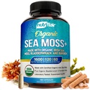 NutriFlair 유기 바다 Moss 1600mg, 120 캡슐 플러스 Bladderwrack & Burdock - Prebiotic 슈퍼 푸드 - 면역 체계 & 소화 건강 - Thyroid, 건강한 피부, Keto Detox, Gut