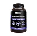 순수한 본래 성분 Bilberry 추출물 (365의 캡슐) 마그네슘 또는 밥 충전물 없음, 항상 순수한, 확인되는 실험실