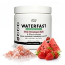 WaterFAST Monk Fruit Keto Single Powder for Fasting and Hydration- Strawberry Watermelon flavor | 핑크 히말라얀 소금 (나트륨), 칼륨, 마그네슘, 칼슘 | 설탕 무료